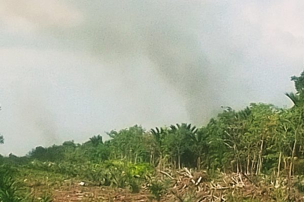 Bengkalis Terbakar Lagi! Warga dan Petugas Bahu-Membahu Padamkan Karhutla di Bengkalis