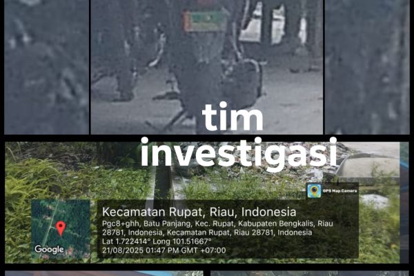 Diduga Gudang Kayu Ilegal di Rupat Seret Nama Oknum TNI Babinsa